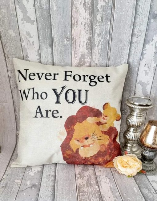 Scatter Cushion - Image 29
